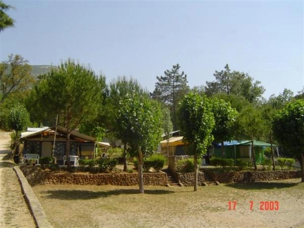 zobacz camping - zdjęcie 15