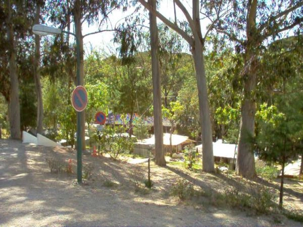 zobacz camping - zdjęcie 13