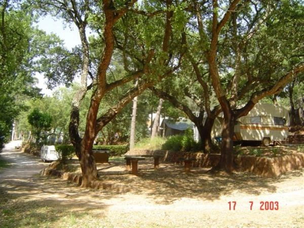 zobacz camping - zdjęcie 10