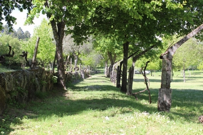 zobacz camping - zdjęcie 8