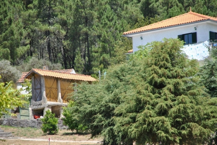 zobacz camping - zdjęcie 6