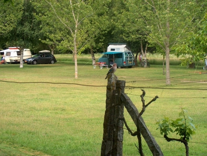 zobacz camping - zdjęcie 4