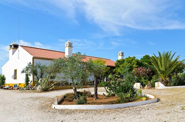 zobacz camping - zdjęcie 9