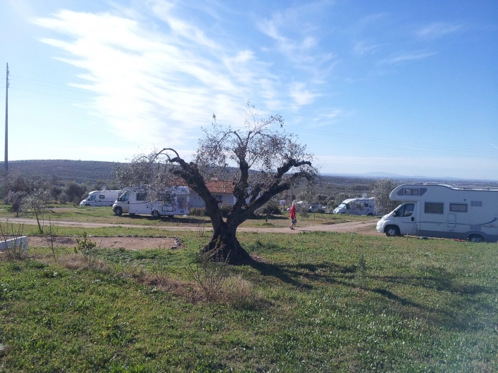 Camping Rural Os Anjos - zdjęcie 4