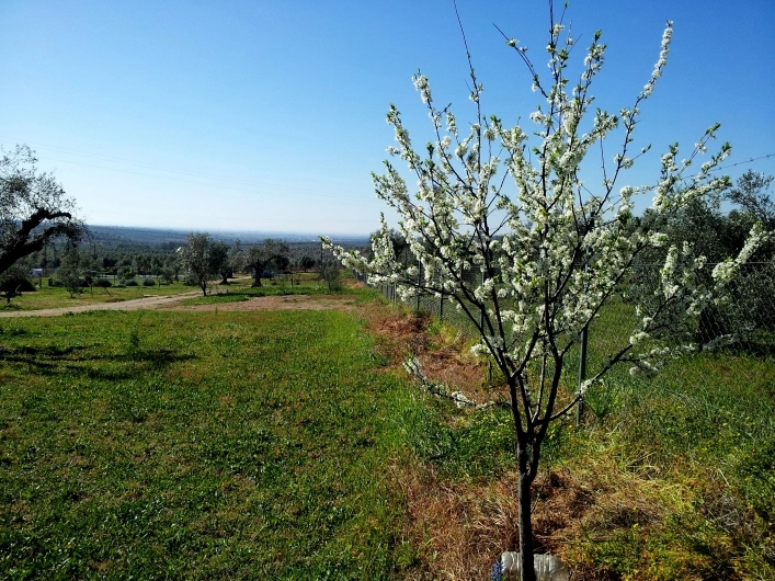 Camping Rural Os Anjos - zdjęcie 1