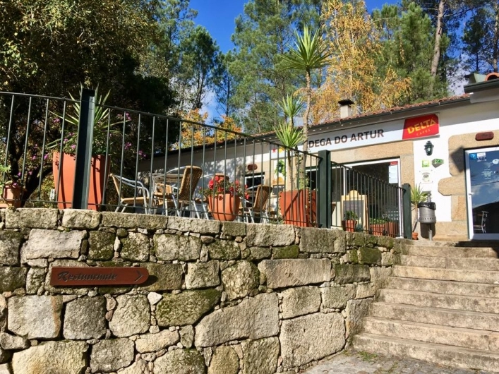 zobacz camping - zdjęcie 26