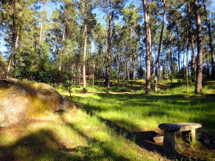 zobacz camping - zdjęcie 25