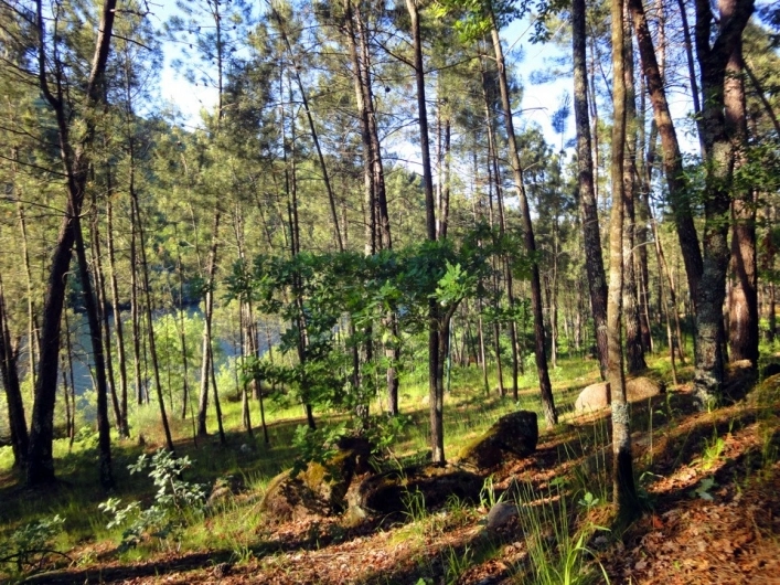 zobacz camping - zdjęcie 24