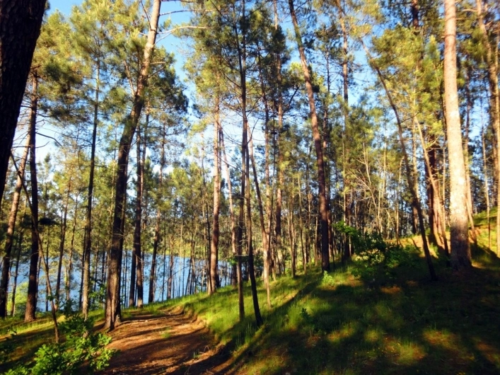 zobacz camping - zdjęcie 16