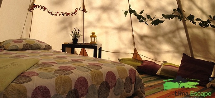 zobacz camping - zdjęcie 14