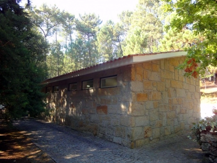 zobacz camping - zdjęcie 9