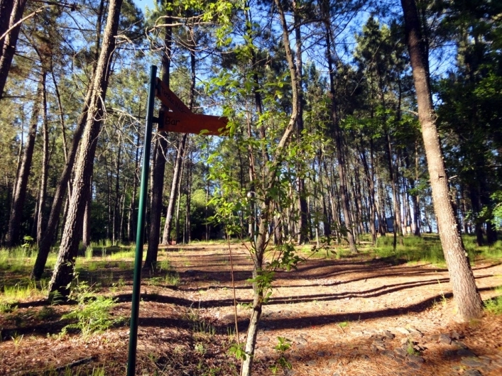 Camping site Lima Escape (Entre-ambos-os-rios) - zdjęcie 2