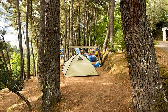 zobacz camping - zdjęcie 11