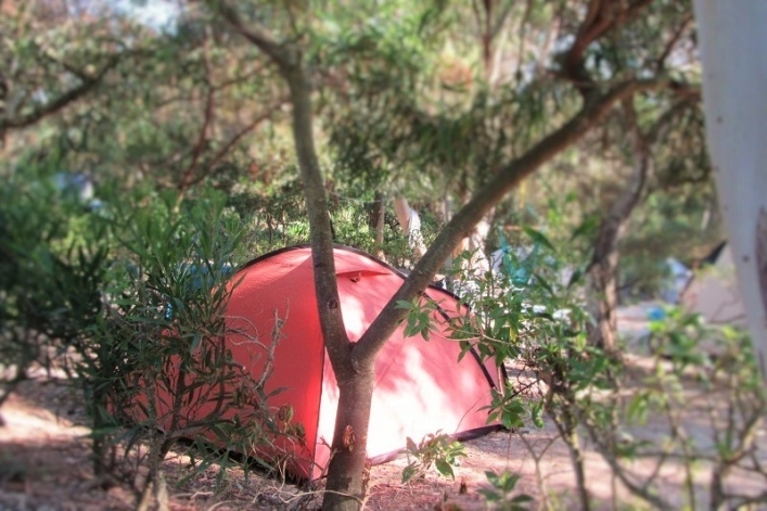 Camping Zambujeira - zdjęcie 2