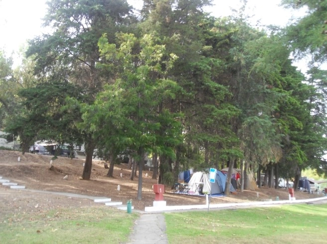 zobacz camping - zdjęcie 11