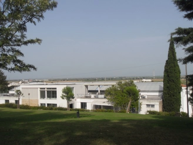 zobacz camping - zdjęcie 10