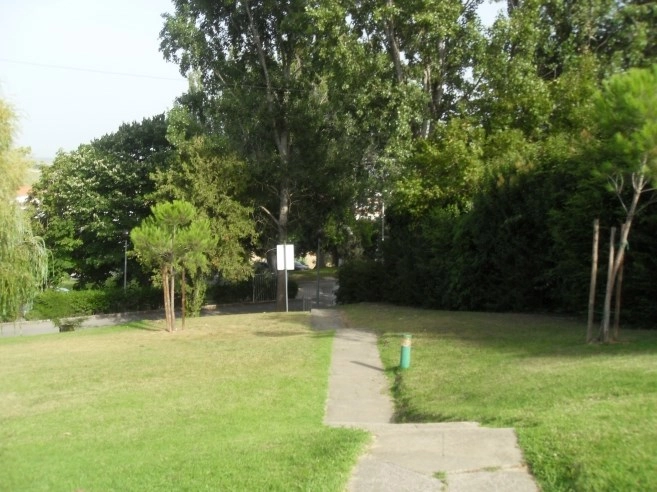 zobacz camping - zdjęcie 9