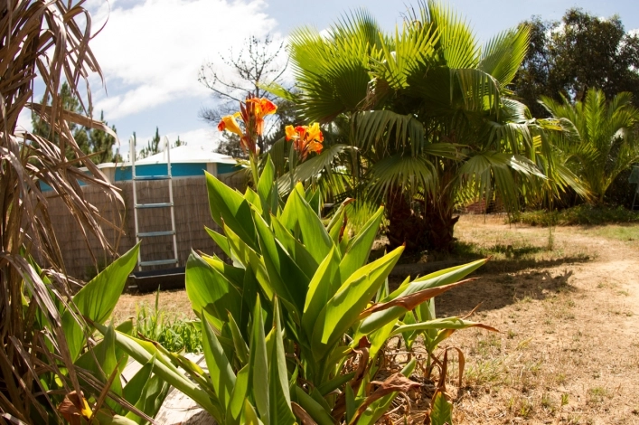 zobacz camping - zdjęcie 12