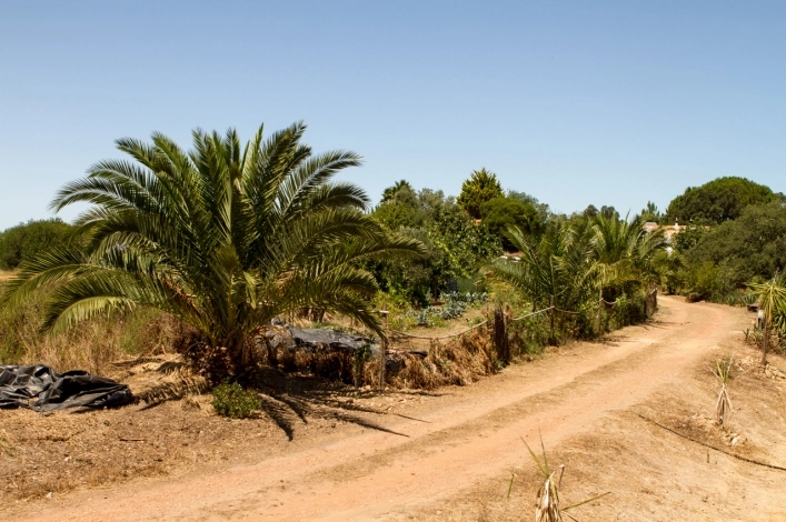 zobacz camping - zdjęcie 3