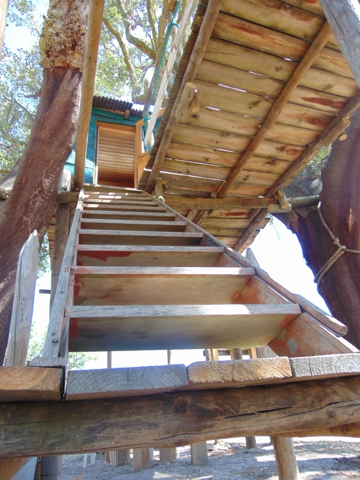 zobacz camping - zdjęcie 12