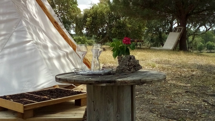 zobacz camping - zdjęcie 10