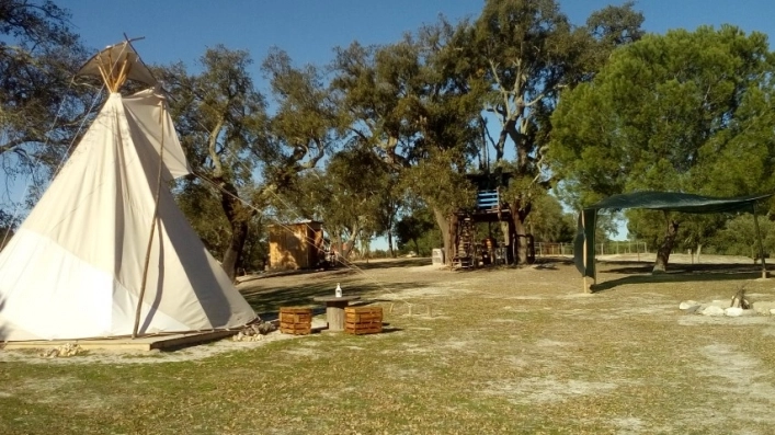 zobacz camping - zdjęcie 9