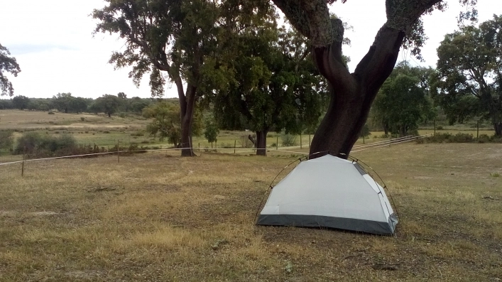 zobacz camping - zdjęcie 2