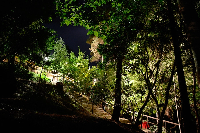 Geresgreenpark - zdjęcie 3