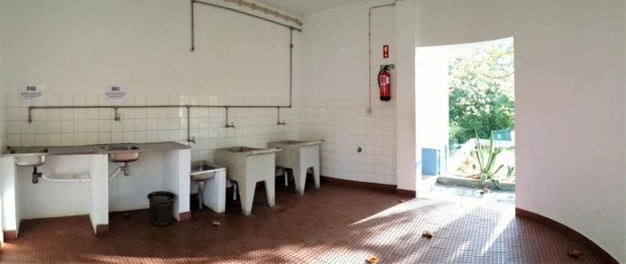 zobacz camping - zdjęcie 20