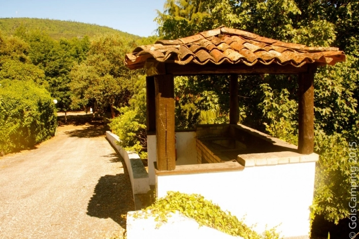 zobacz camping - zdjęcie 15