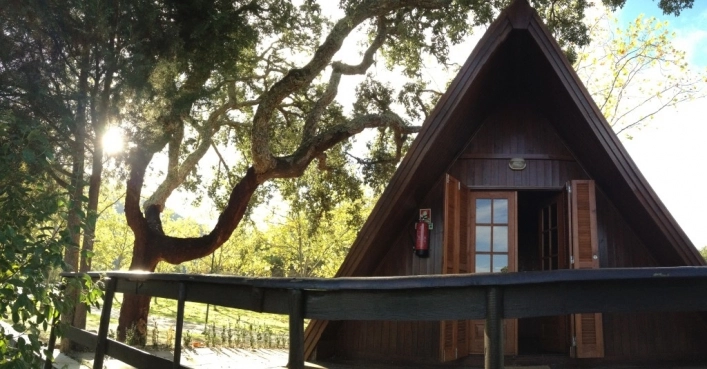 zobacz camping - zdjęcie 11