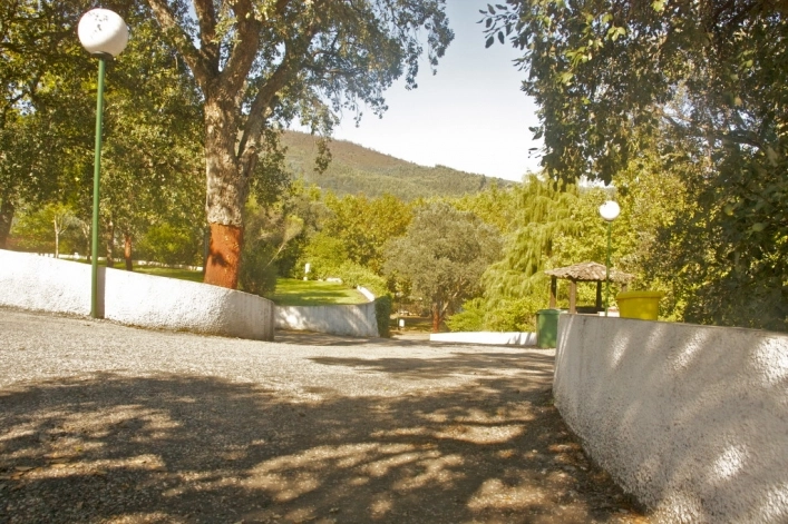 zobacz camping - zdjęcie 8