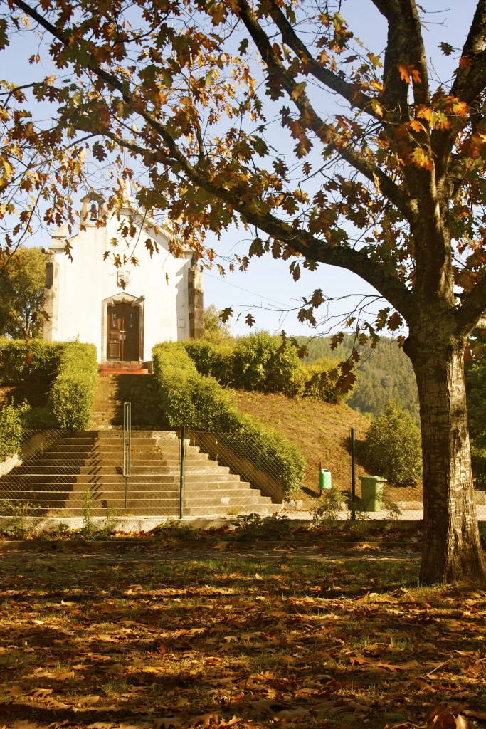 Góis Camping - zdjęcie 3