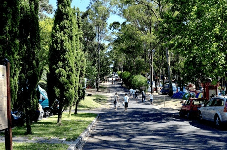 Lisboa Camping & Bungalows - zdjęcie 3