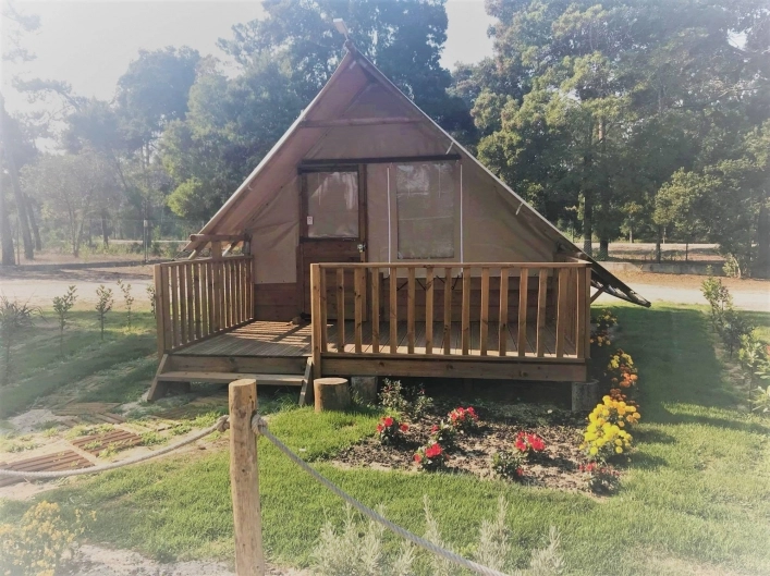 zobacz camping - zdjęcie 11