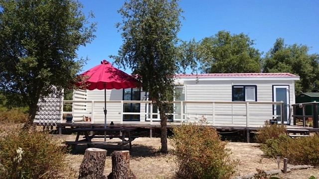 zobacz camping - zdjęcie 7