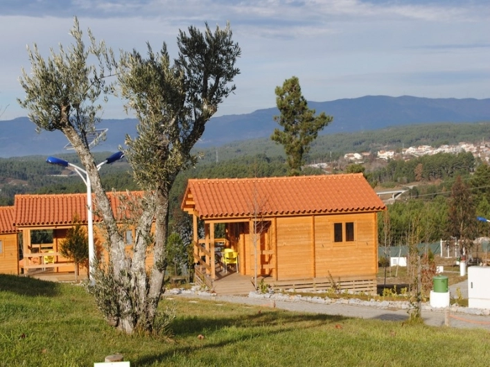 zobacz camping - zdjęcie 17