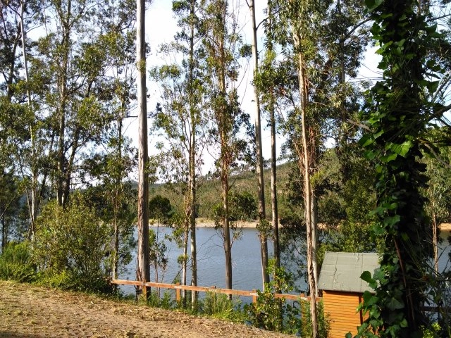 zobacz camping - zdjęcie 9