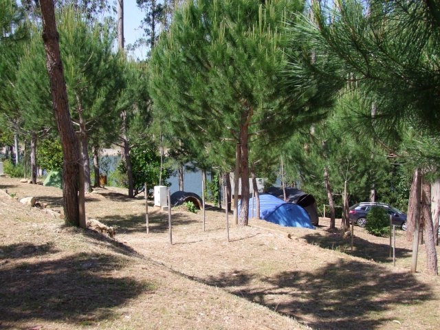 zobacz camping - zdjęcie 8