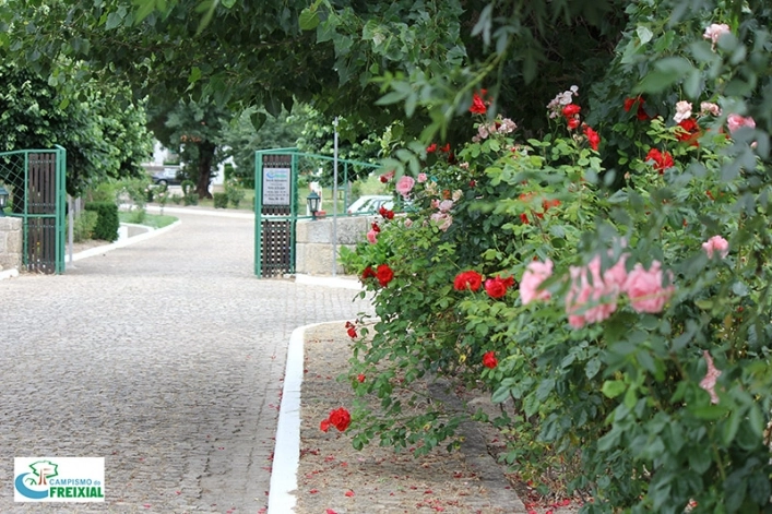 zobacz camping - zdjęcie 9