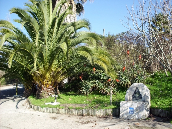 zobacz camping - zdjęcie 13