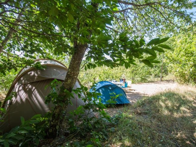 zobacz camping - zdjęcie 21