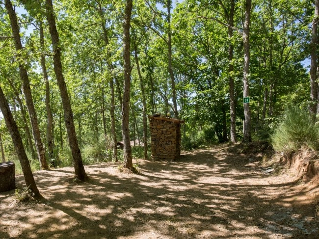 zobacz camping - zdjęcie 20