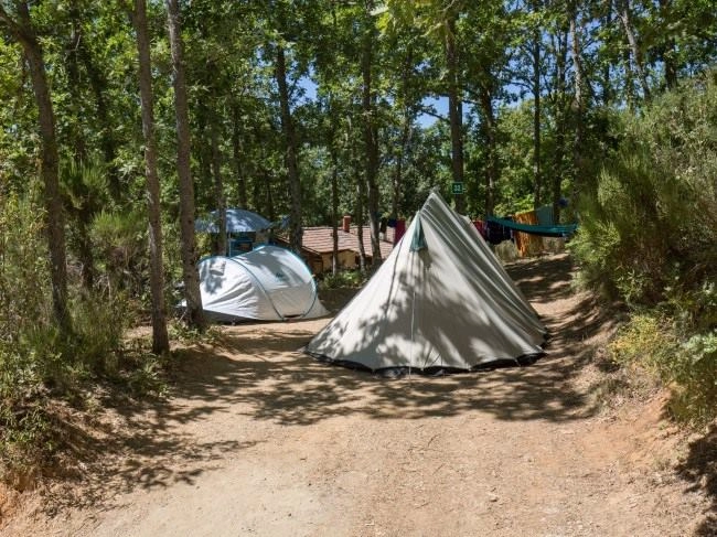 zobacz camping - zdjęcie 10