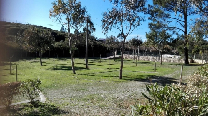 Parque de Campismo Colina do Sol - zdjęcie 3
