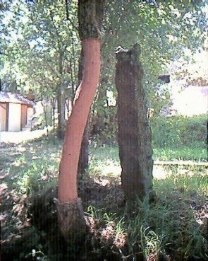 zobacz camping - zdjęcie 8