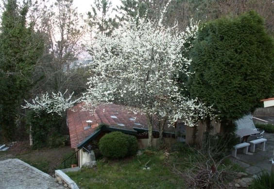 zobacz camping - zdjęcie 7