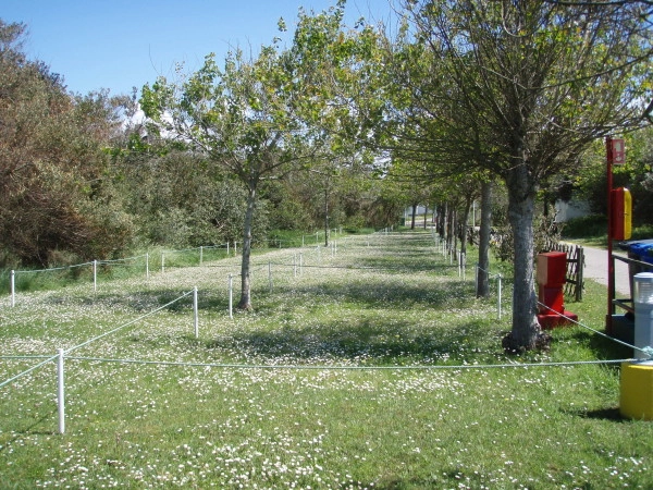 zobacz camping - zdjęcie 12