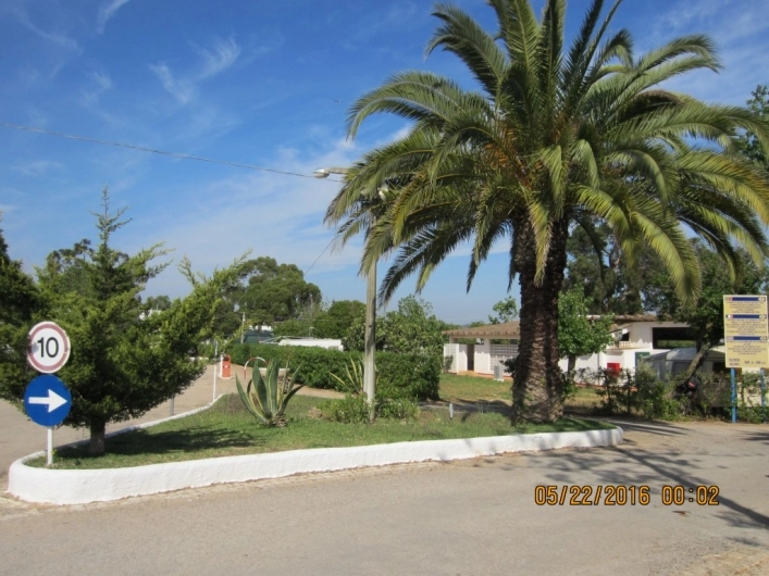 Parque de Campismo da Praia de Armação de Pera - zdjęcie 3