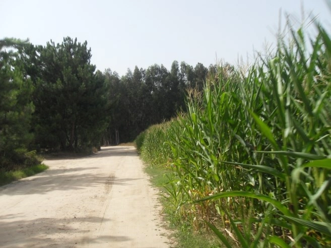 zobacz camping - zdjęcie 13